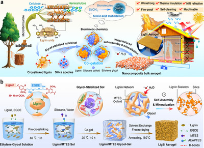 王清文教授團(tuán)隊在木質(zhì)素基功能材料領(lǐng)域取得新進(jìn)展，推動生物基材料技術(shù)研發(fā)邁向新高度